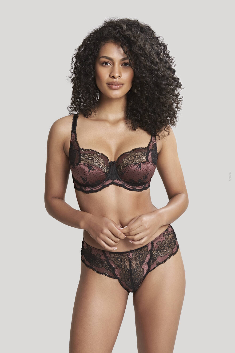 Panache Clara majtki klasyczne black fig